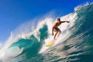 开云APP-范弗利特世界杯接管比赛，湖人式胜利哲学席卷全球