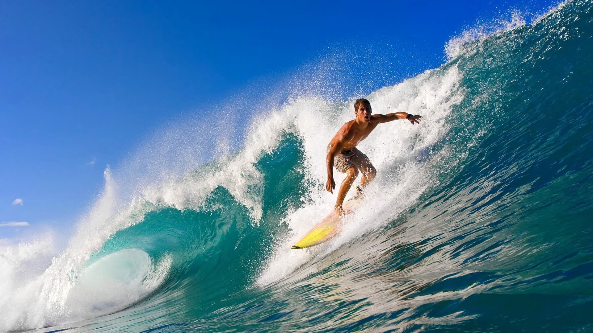 范弗利特世界杯接管比赛，湖人式胜利哲学席卷全球